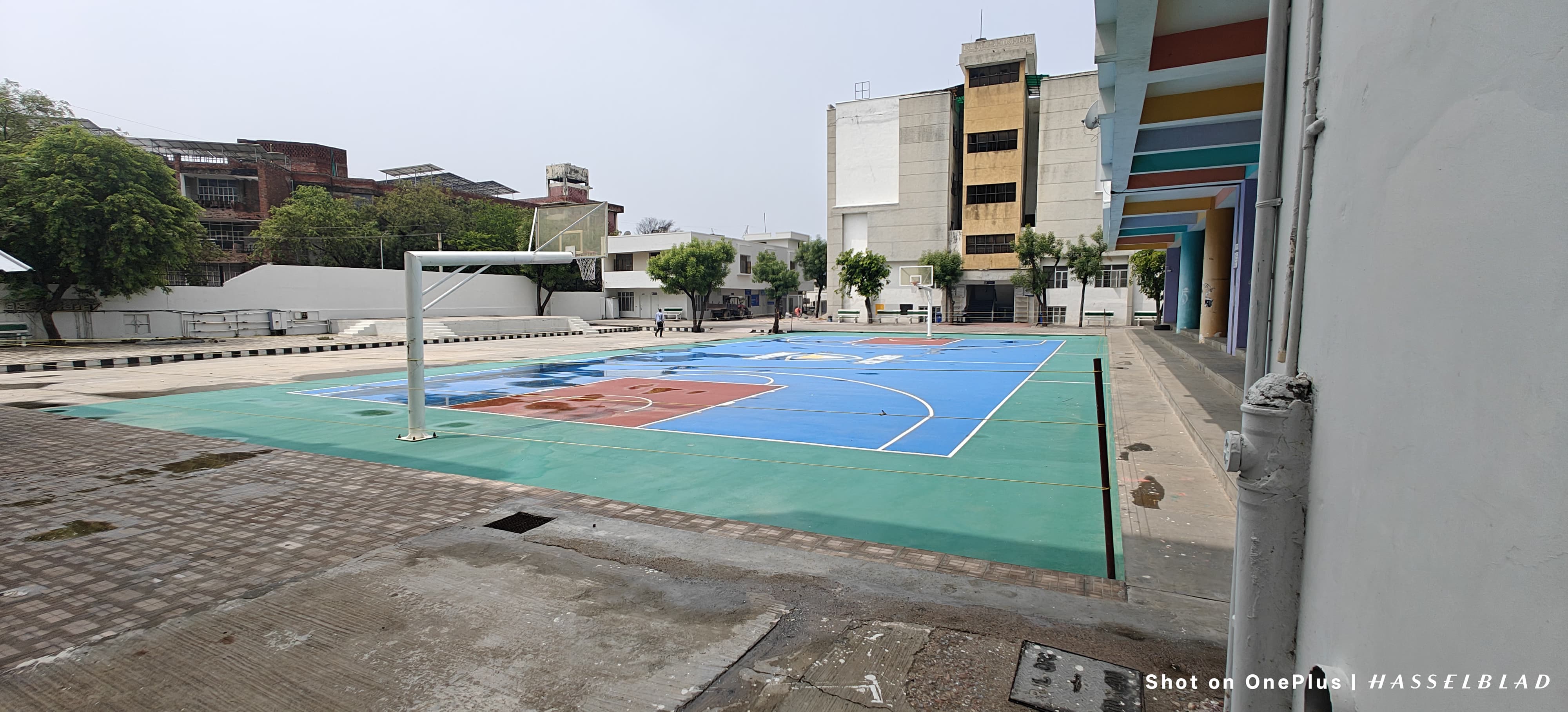 Basketball Court